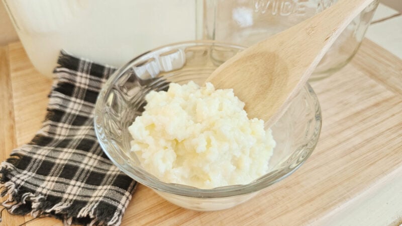 Glass bowl of activated milk kefir grains. Wooden spoon and green checkered cloth present. Activated Milk Kefir Grains: Getting Started ebook.