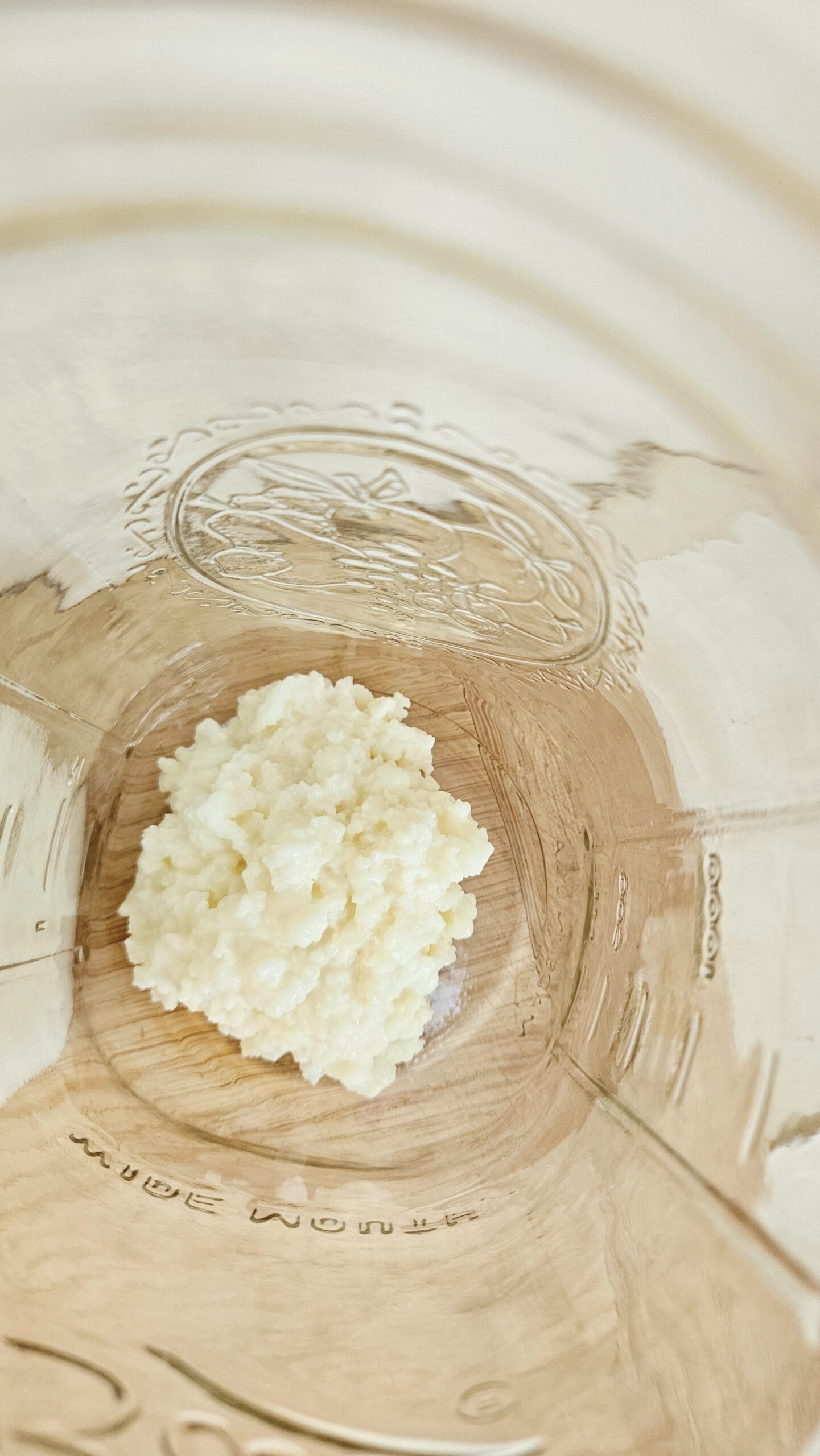 Aerial view of white/yellow milk kefir grains at the bottom of a half gallon glass mason jar.