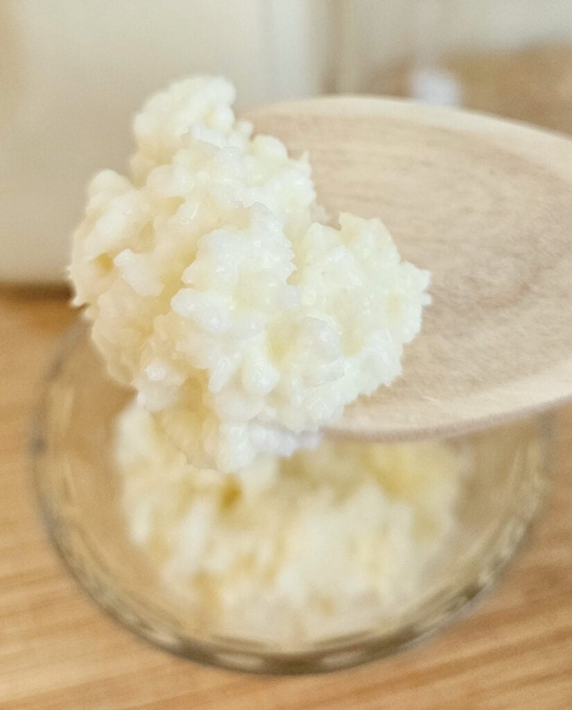 Close-up of milk kefir grains on a wooden spoon. Bowl of grains, raw milk, and empty half gallon mason jar blurred in the background. Everything on top of a wooden cutting board.