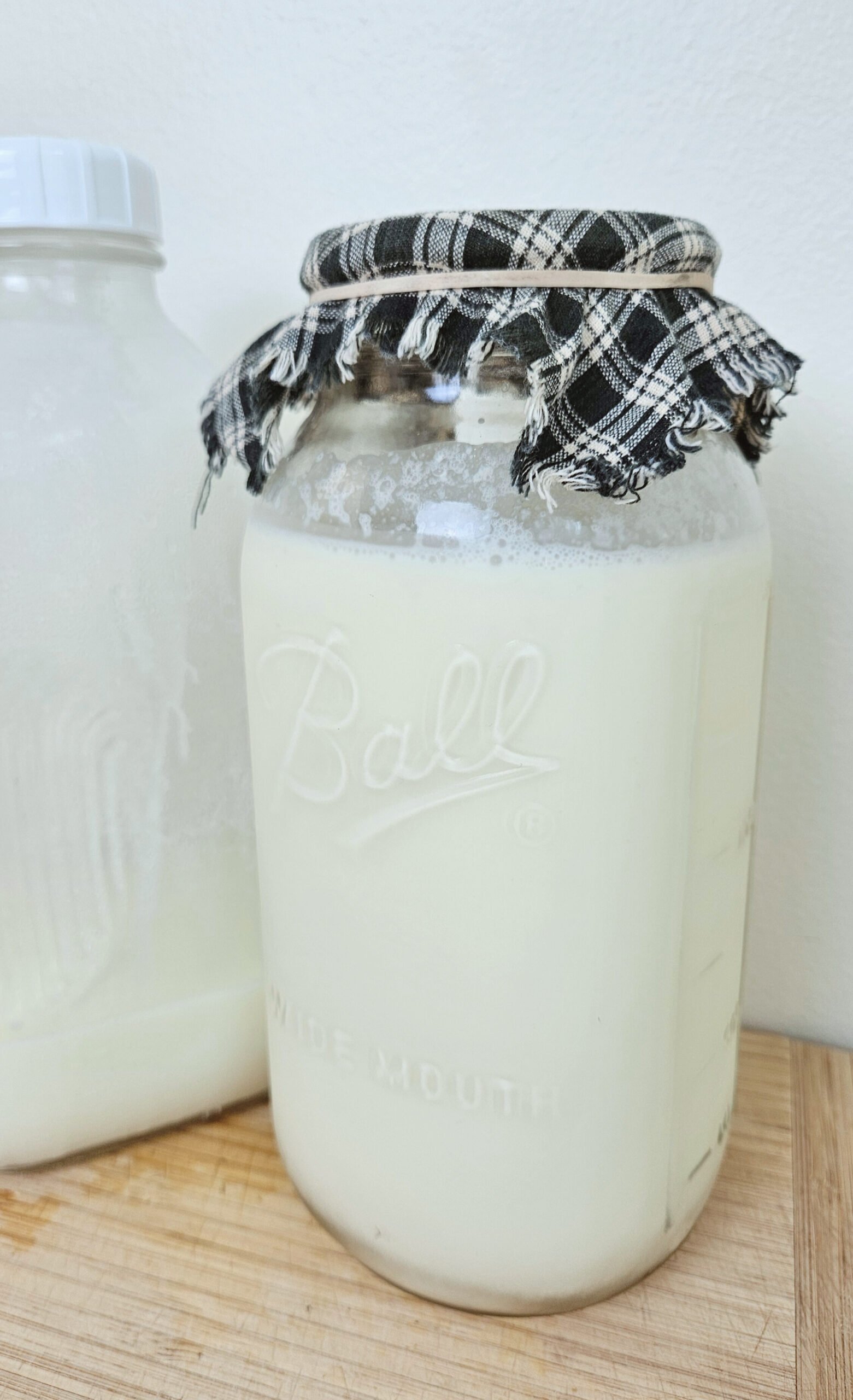 Milk jar full of raw milk. Half gallon mason jar full of milk kefir with a green checkered cloth used as a breathable cover and secured with a rubber band.