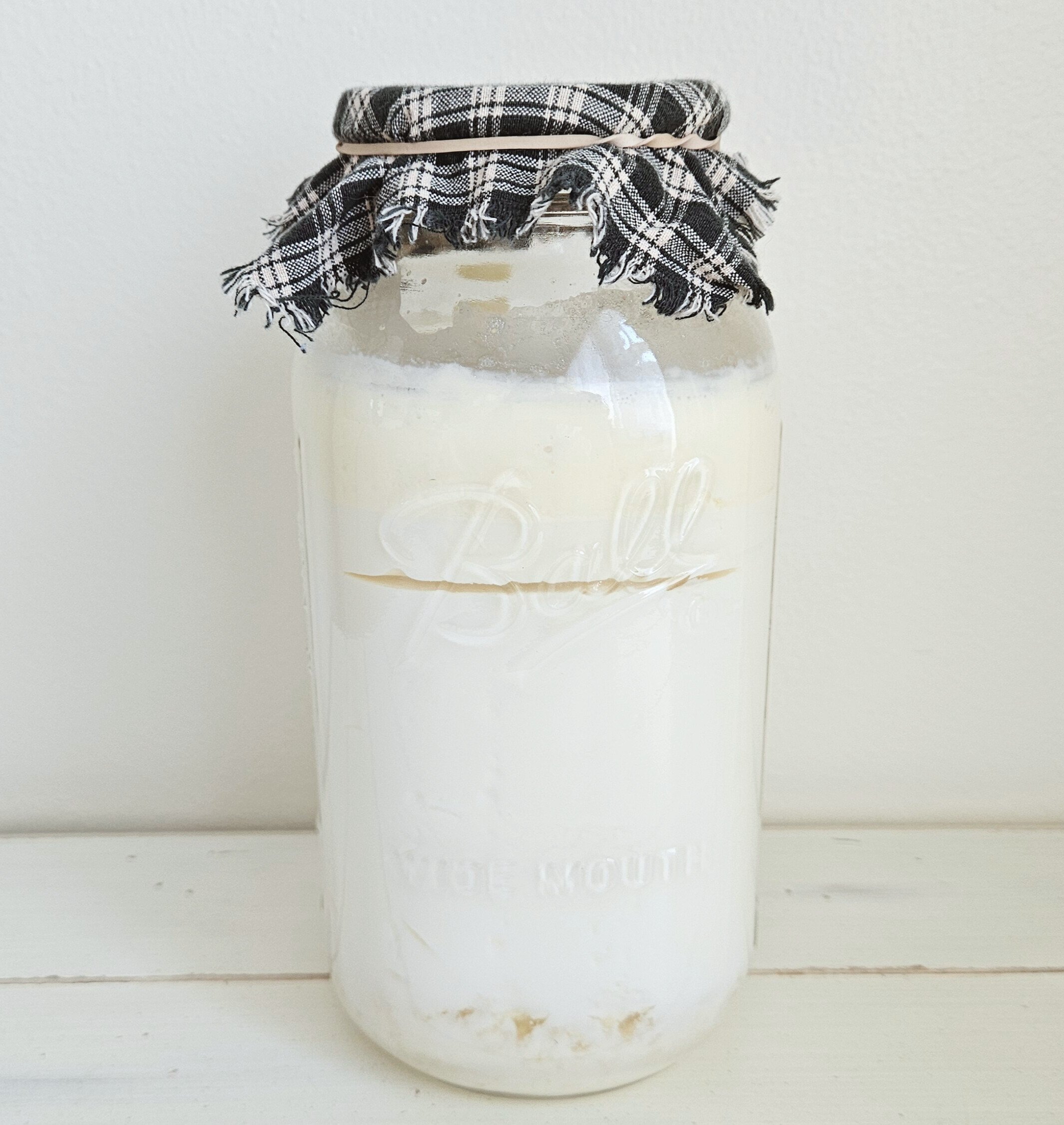 Half gallon of milk kefir secured by a breathable cloth and a rubber band. Shows separation of whey.