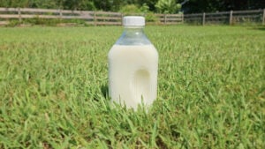 Is Raw Milk Safe? What are the Benefits? (+ My Personal Experience)