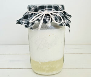 Separation of milk kefir into curds and whey. Curds are floating at the top in the mason jar and are white. The yellow white is at the bottom underneath the curds. Green and white checkered cloth used as a cover. Cloth secured with twine.