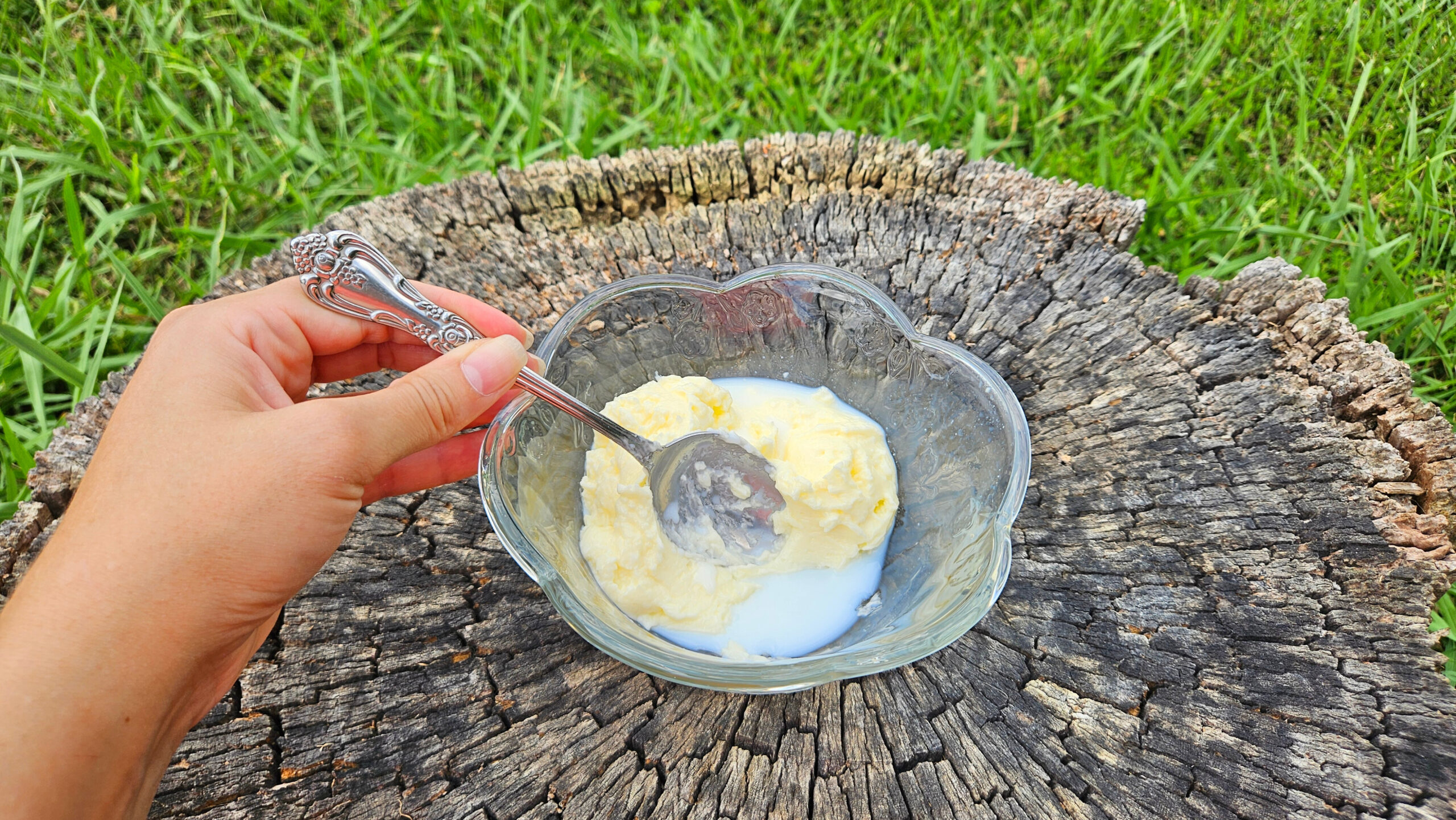 Homemade butter and buttermilk in a glass bowl. Stainless steel spoon pushing butter against the side of the bowl. Bowl on a tree stump outside with green grass in the background.