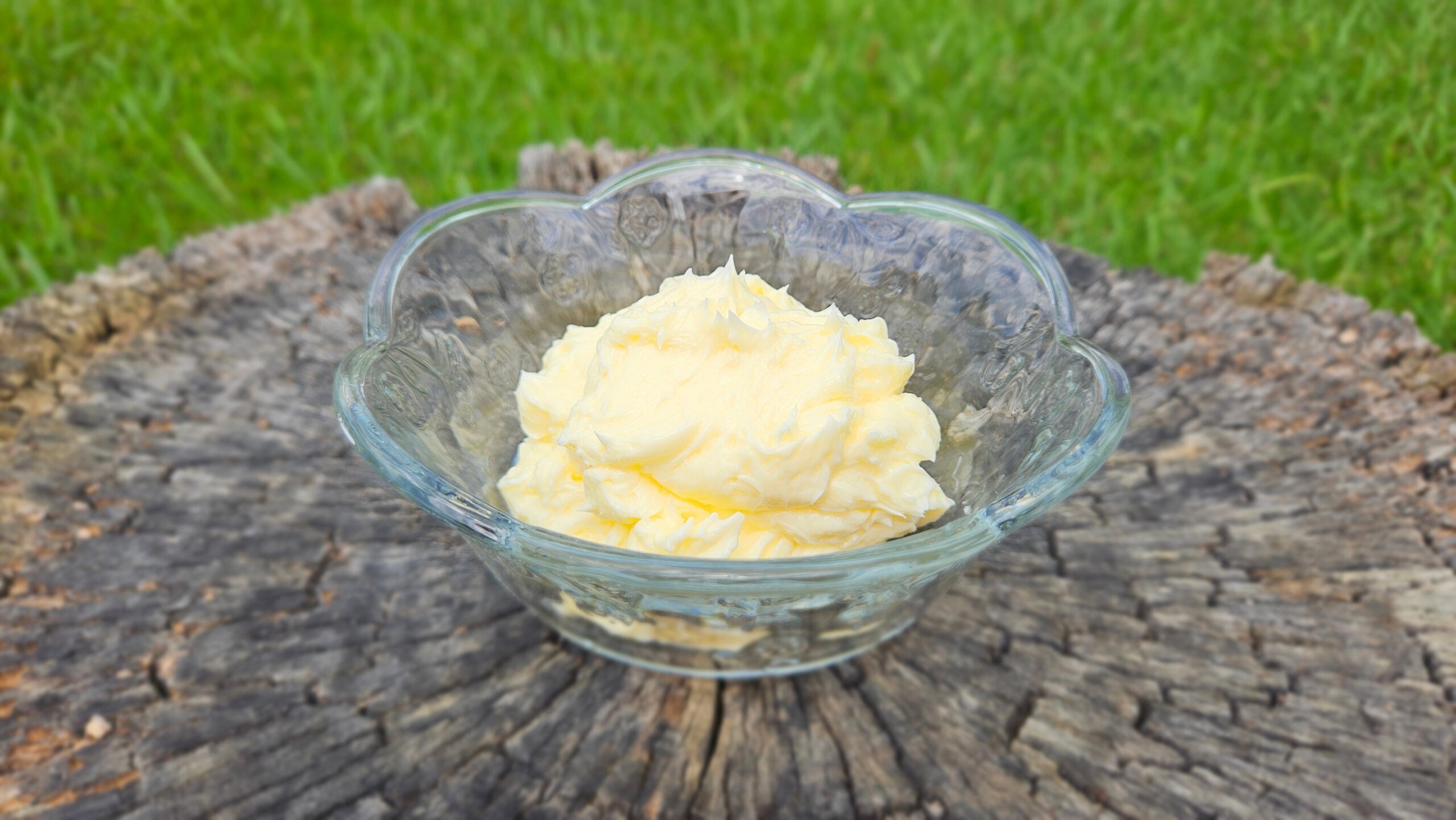 Homemade butter in a glass bowl sitting on top of a tree stump outside. Butter is s deep yellow. Green grass in the background.