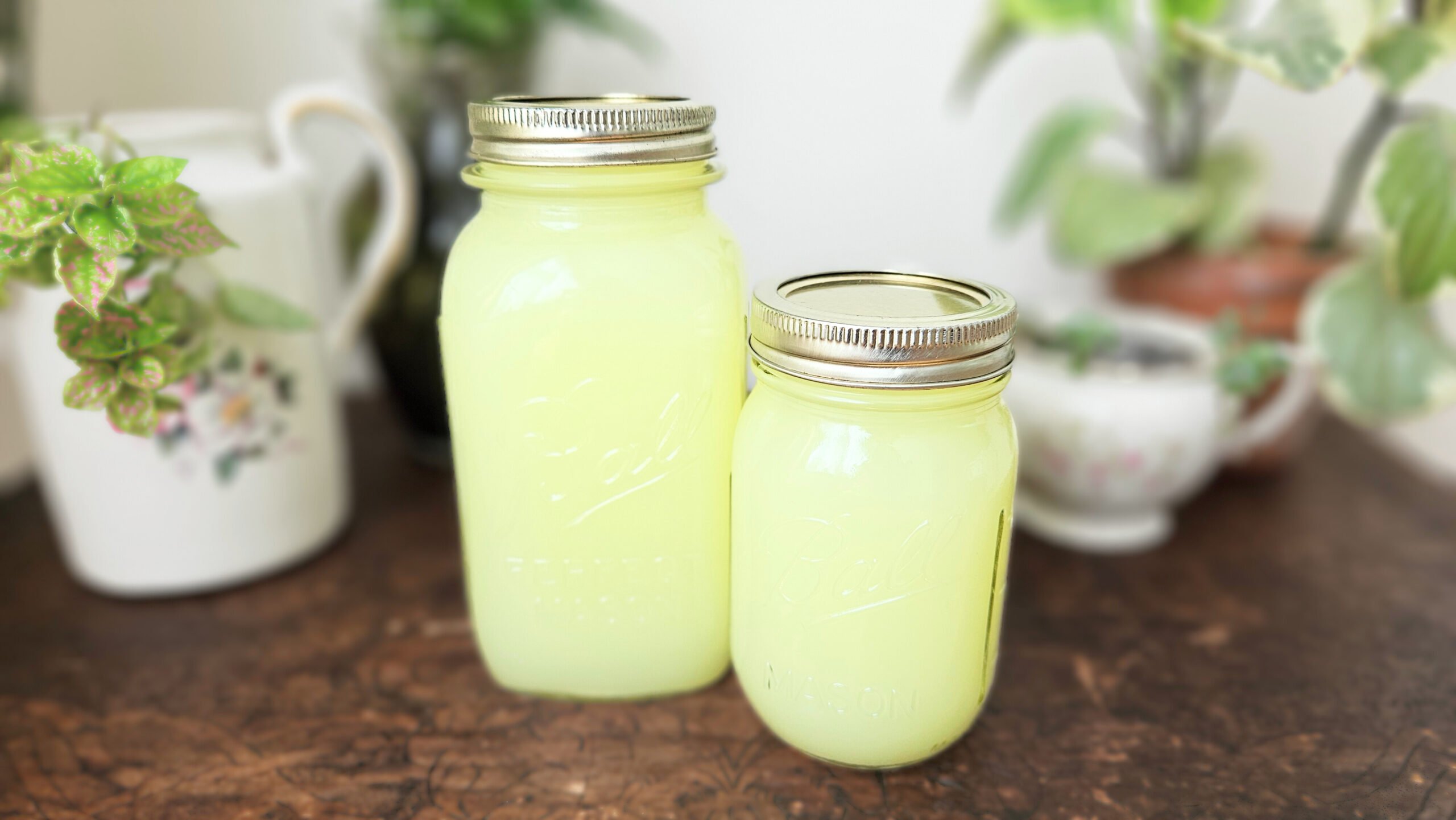 A quart size mason jar and a pint size mason jar filled to the top with bright yellow whey. Sitting on top of a brown wooden trunk with plants in the background.