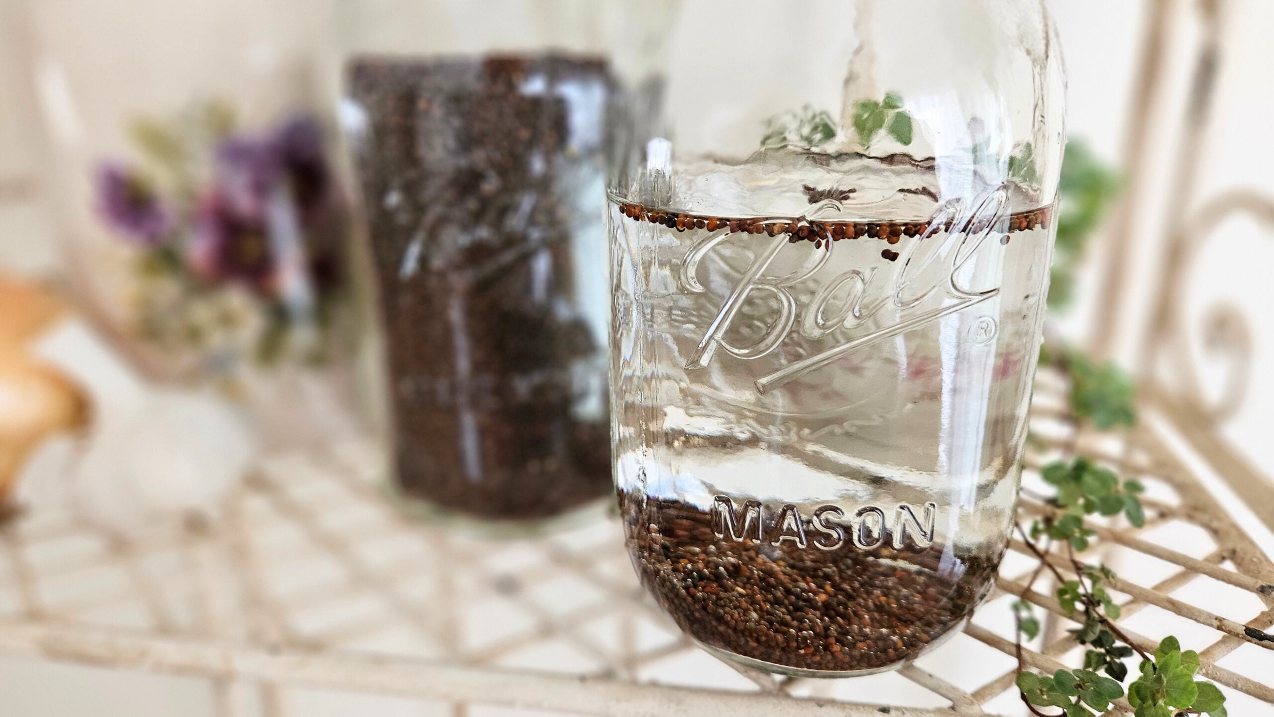 A glass mason jar filled with water and broccoli seeds. Some seeds floating at the top of the water. Another mason jar filled with only broccoli seeds in the background. Sitting on top of a cream colored metal shelf.