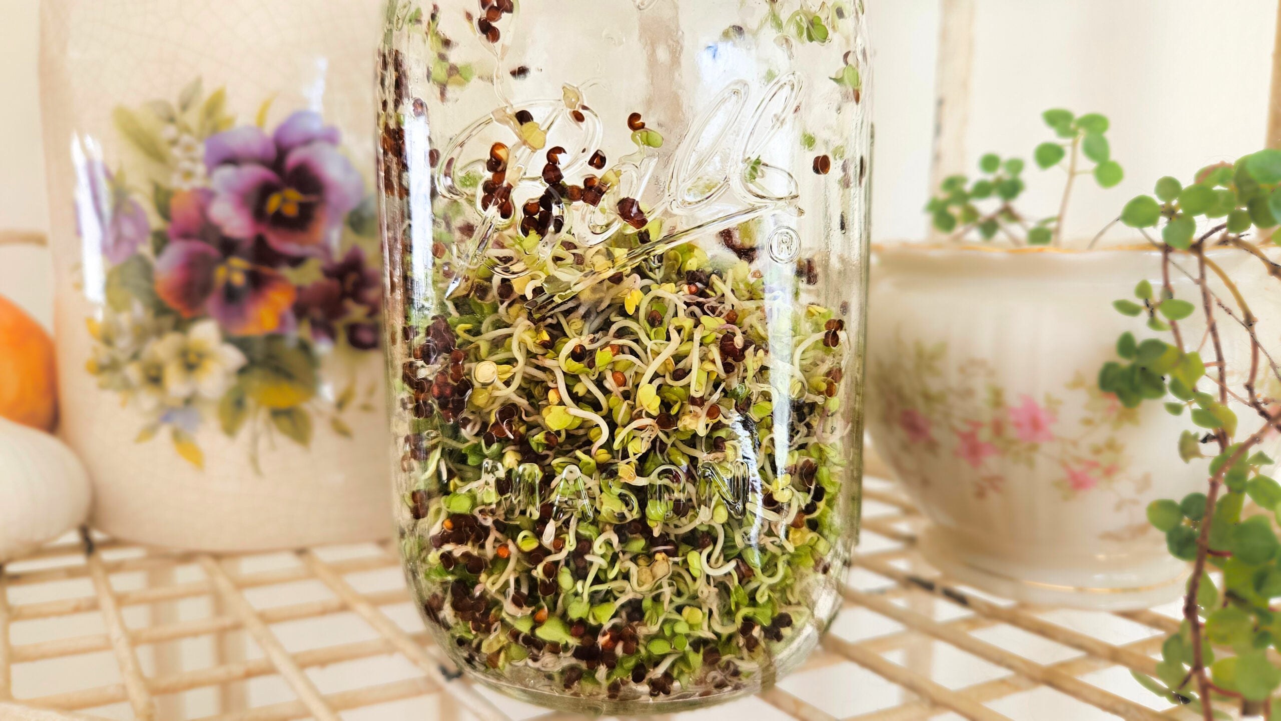 A mason jar standing vertically on a cream colored metal shelf. Broccoli sprouts inside the mason jar. Green leaves and dark seeds are in the jar. A green plant, pottery with purple flowers, an onion and garlic in the background.