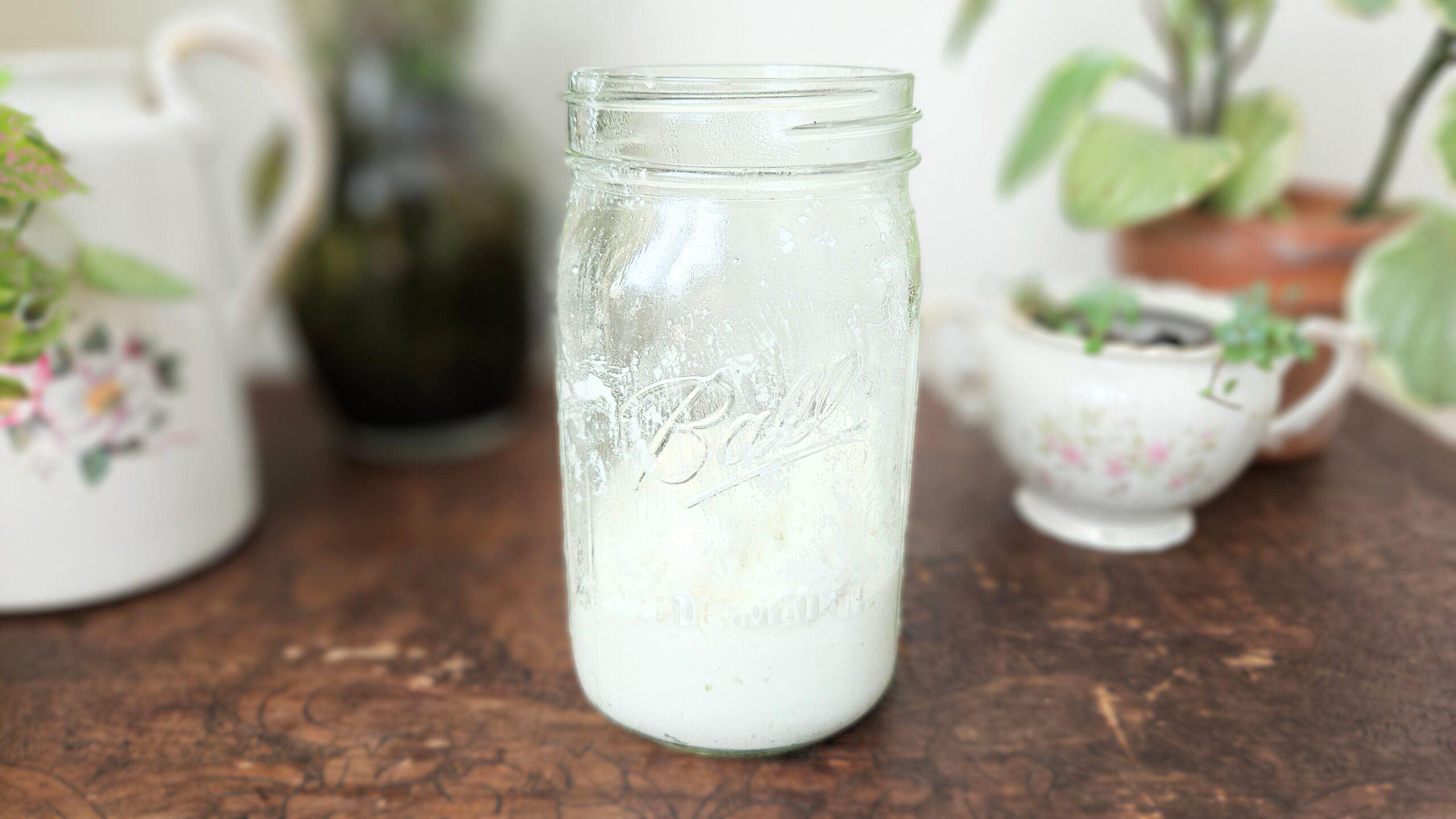 Wide mouth quart size mason jar filed with white blended cream cheese. Sitting on top of a brown wooden trunk with plants in the background.