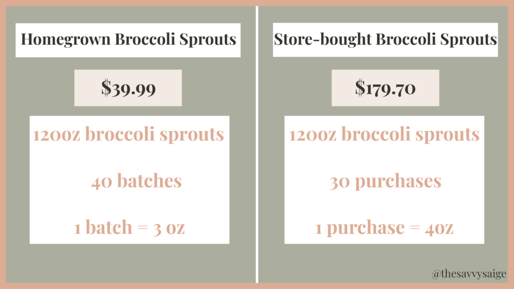 Colorful chart showing the price difference between homegrown broccoli sprouts and store-bought broccoli sprouts. Green background. Black and peach text. Text backgrounds are white. Logo in the corner.