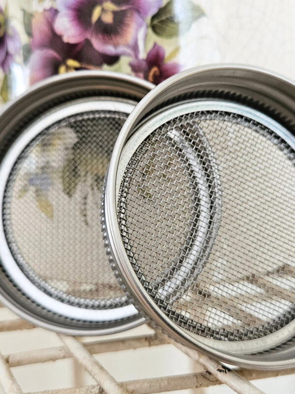 Seed sprouting jar lids. Two stainless steel jar lids with a solid rim and fine mesh interior. Sitting on top of a cream colored metal rack. Cream colored pottery with purple painted flowers in the background.