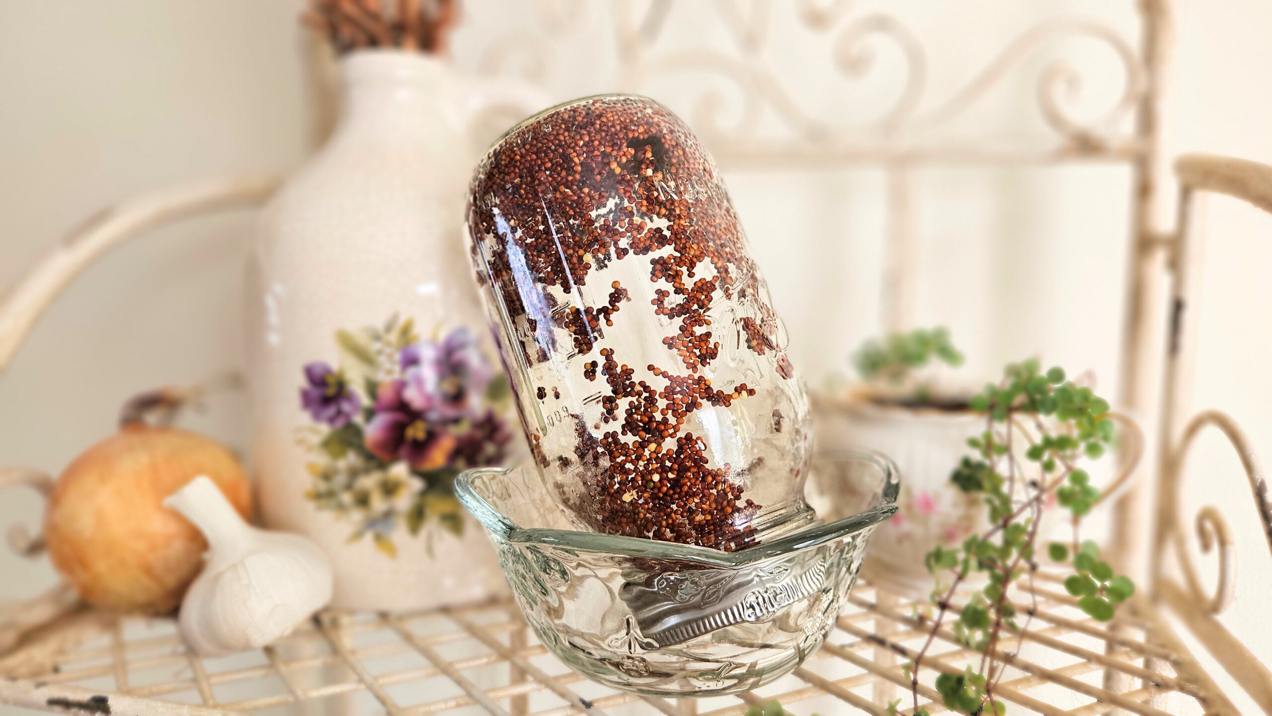 A tiled mason jar filled with broccoli seeds. The mason jar is resting in a glass bowl. Sitting on a metal shelf alongside a green plant, pottery with purple flowers, an onion, and garlic.