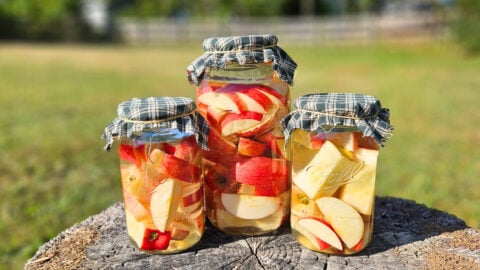 3 mason jars of sliced apples being made into apple cider vinegar. Sitting outside on a tree stump.