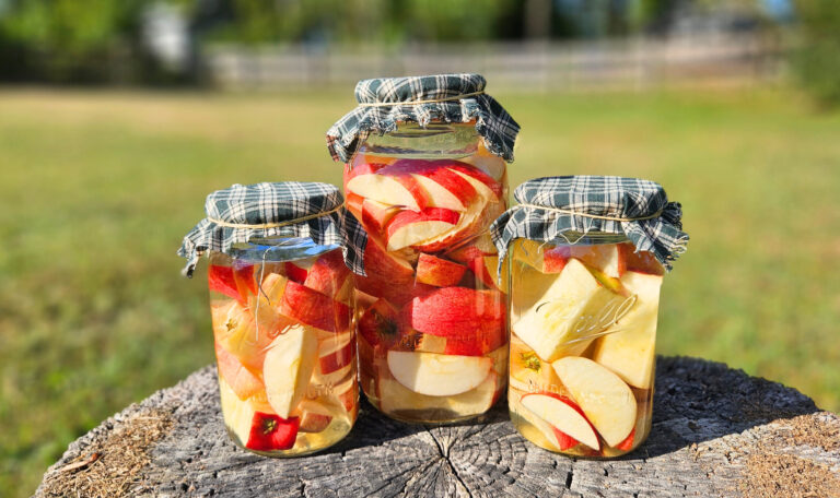 3 mason jars of sliced apples being made into apple cider vinegar. Sitting outside on a tree stump.