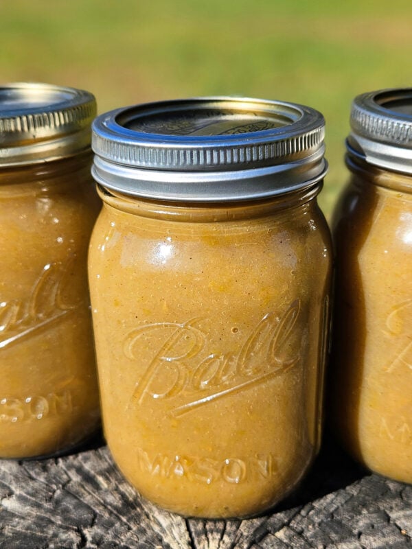 3 ball pint size mason jars of cinnamon applesauce outside on a tree stump.