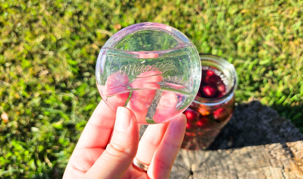 Glass fermentation weights being used to make muscadine vinegar.