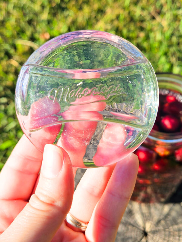 Glass fermentation weights being used to make muscadine vinegar.