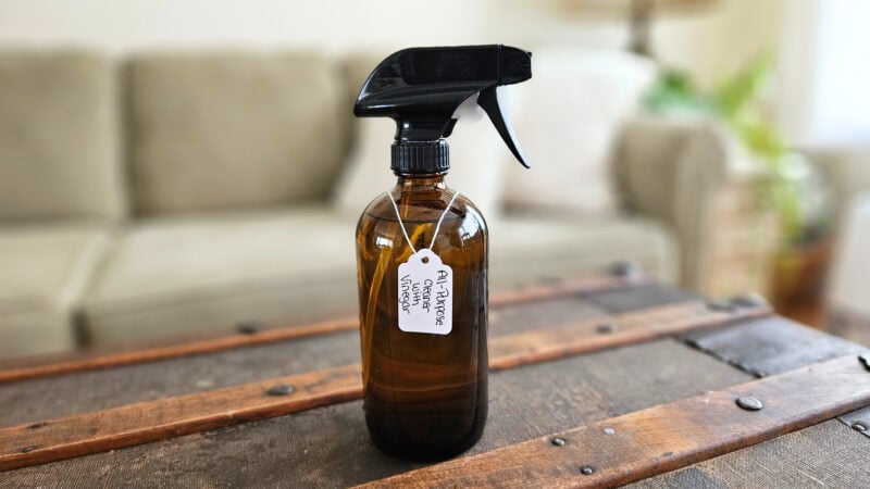 Finished product of all-purpose cleaner with vinegar sitting on top of a trunk in front of a couch.