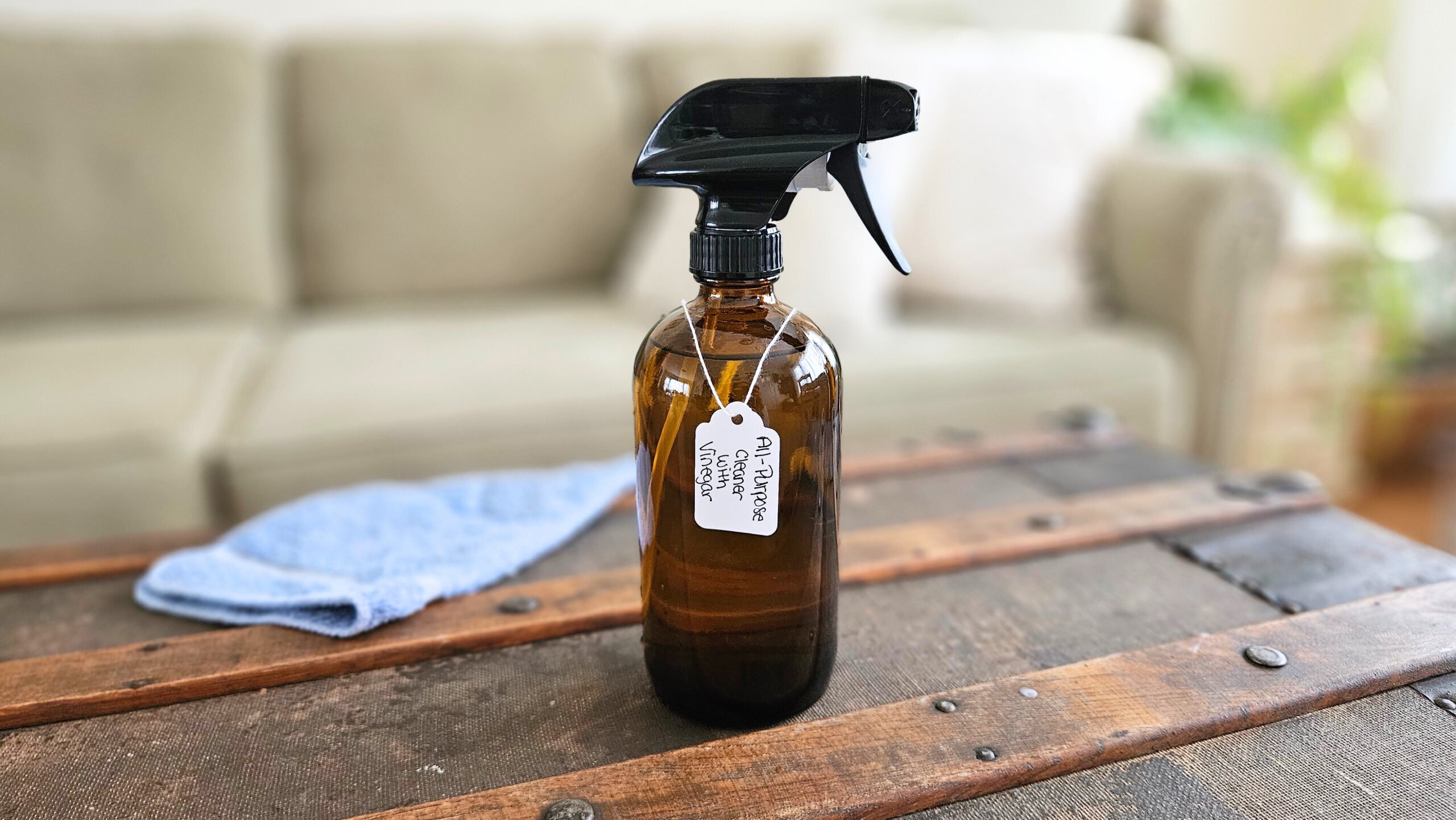 Homemade All-Purpose Cleaner with Vinegar