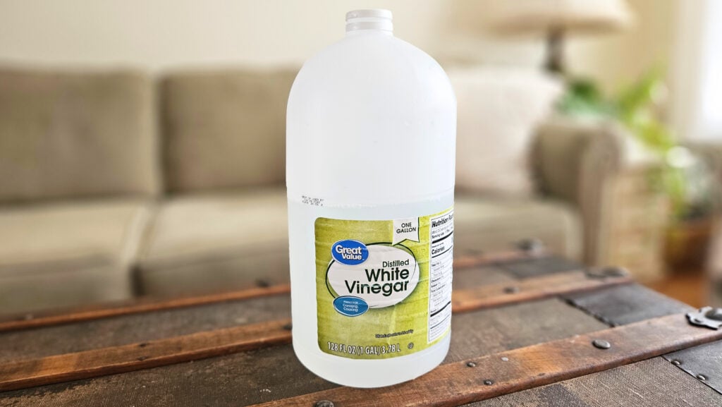 Gallon size jug of white distilled white vinegar.