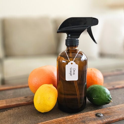 Spray bottle of citrus vinegar cleaning spray with an orange, grapefruit, lemon, and lime surrounding the bottle.