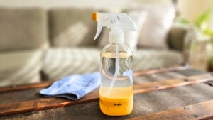 Homemade Streak-Free Glass and Window Cleaner (2 Ingredients)