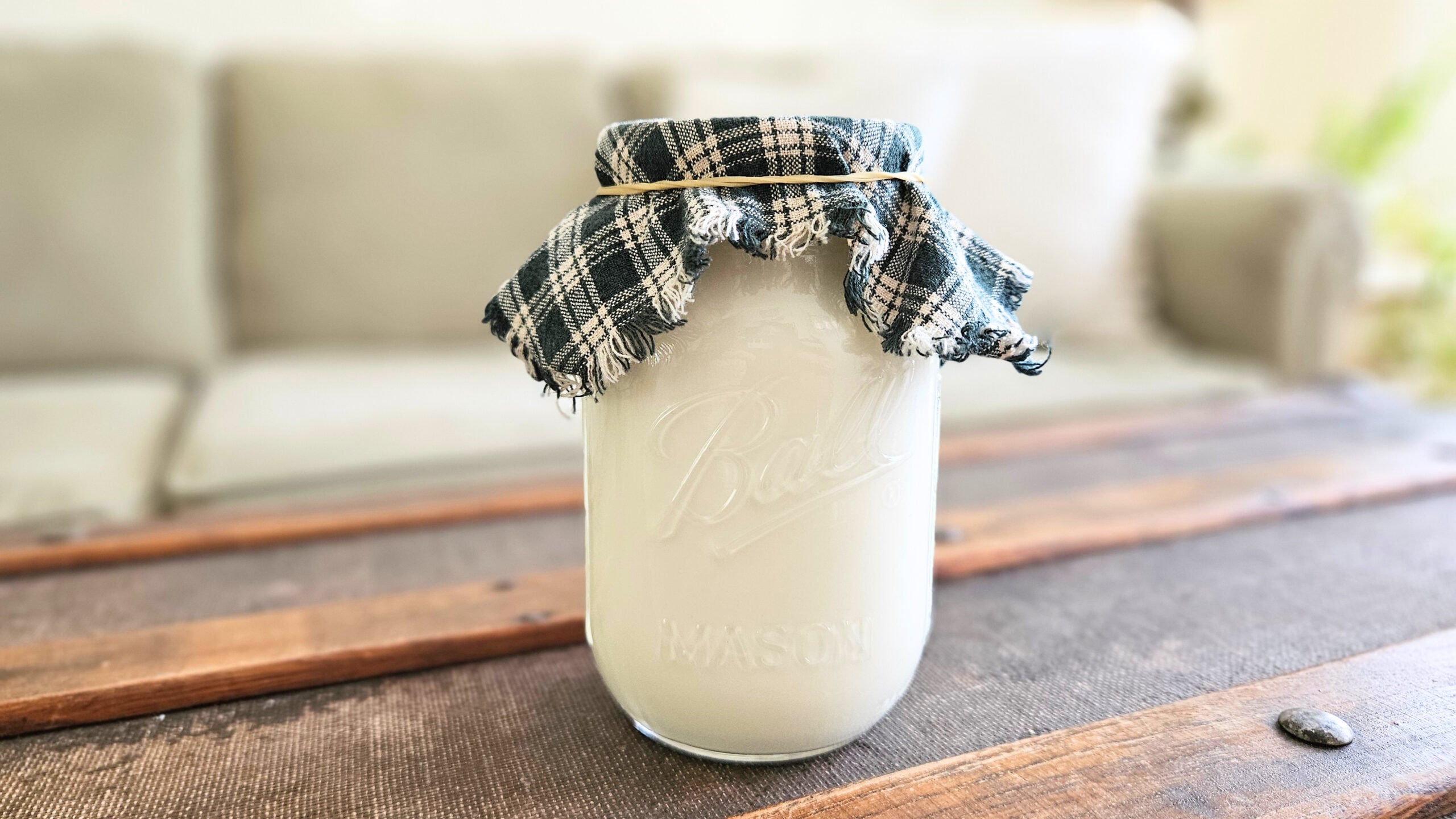A pint jar with a cloth lid filled with raw milk.