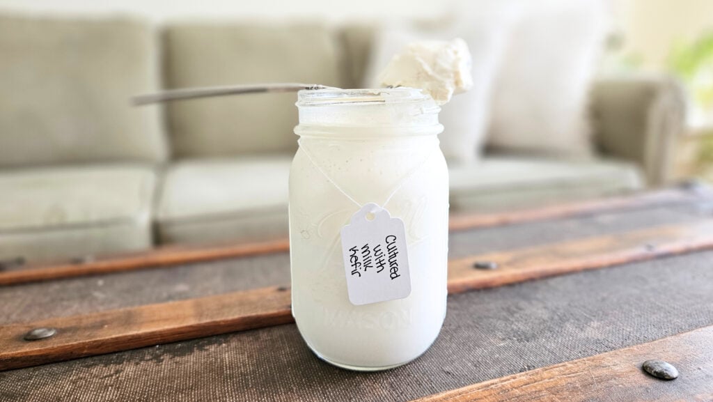 A spoonful of sour cream cultured with milk kefir resting on top of a pint size mason jar.